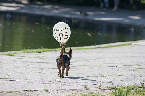 GPS Device to Locate Your Pet