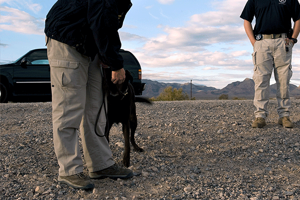 Tracking Dogs to Find Your Pet