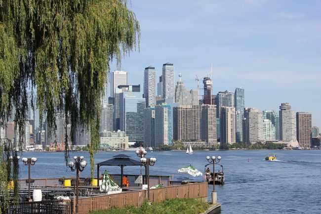 A scenic view of the Toronto skyline from a waterfront park during the day
