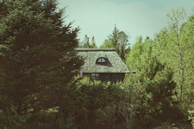A cottage in the middle of the woods