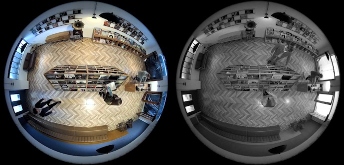 Reolink fisheye hot sale