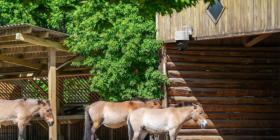 Reolink TrackMix Wired LTE - 4G 2K PTZ Dual-Lens Camera | Reolink Official