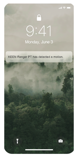 Phone Inform