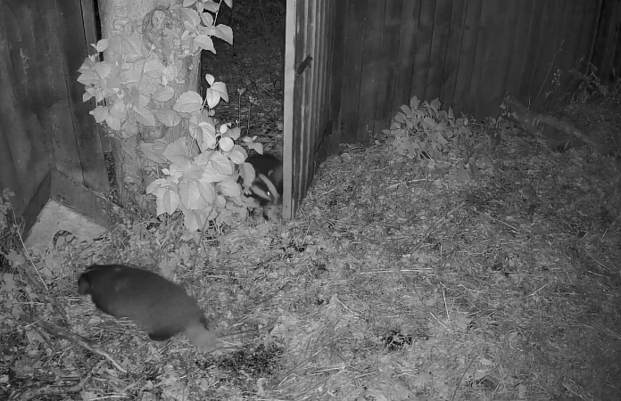 KEEN Ranger PT – Official Website | 4G Trail Camera Pan & Tilt ...