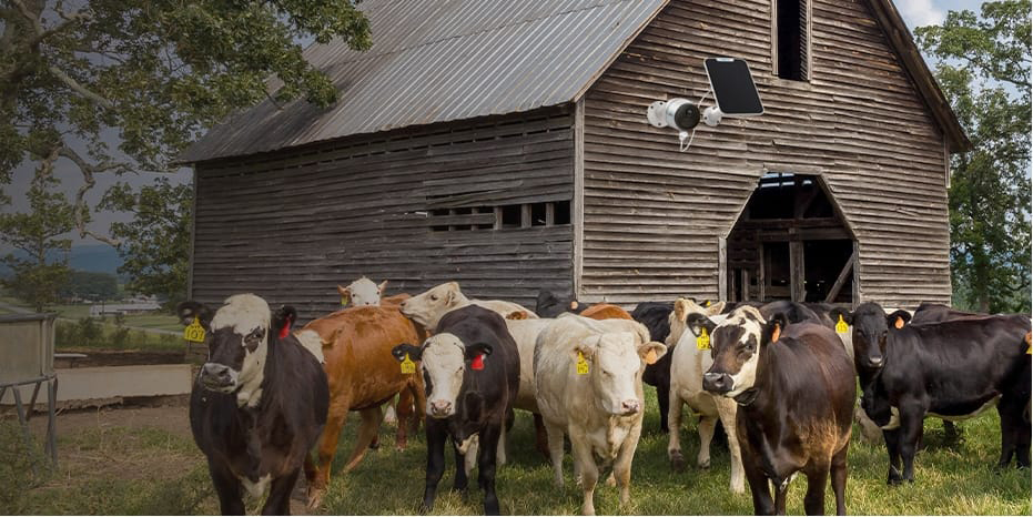 Reolink Go Plus Farm Security Camera Monitors Farm