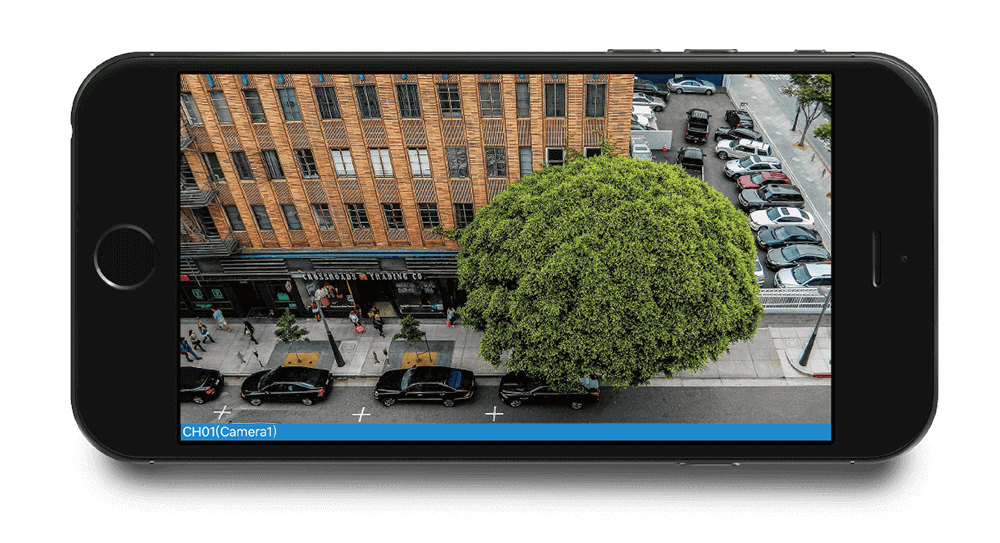 Panoramic Camera vs Multiple Cameras