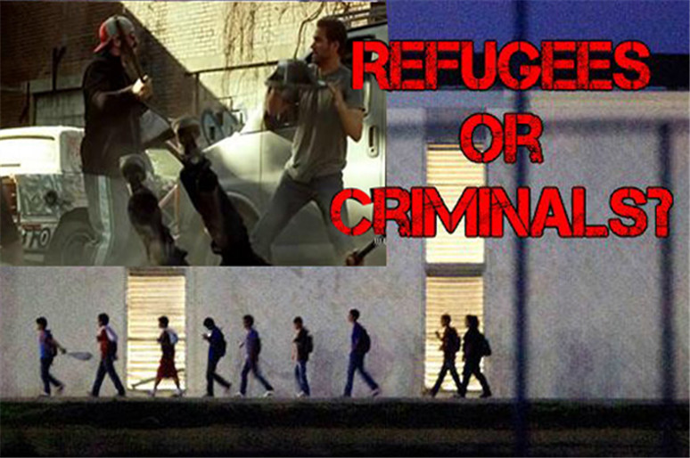 Stop Refugee Crimes