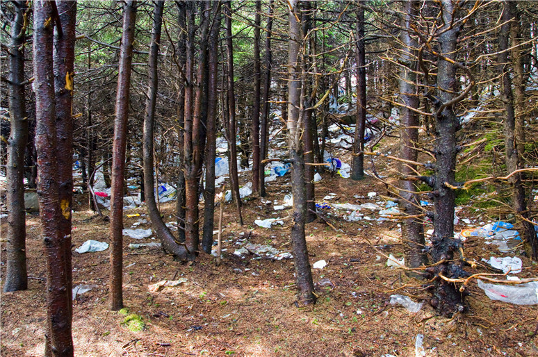 How to Stop Illegal Dumping on My Property