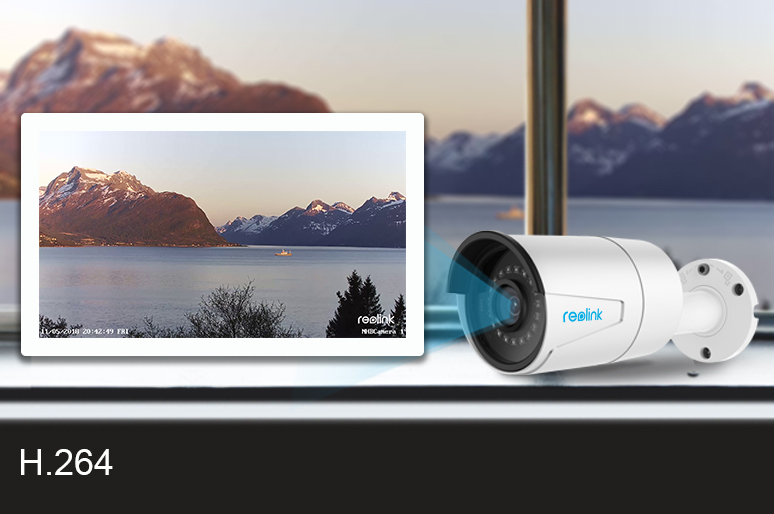 H.264 IP Cameras — Top 6 Points You Wanna Check