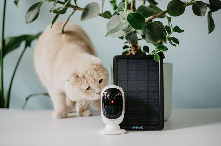 Best Mini Security Cameras Buying Guide — All Targets Got Hit