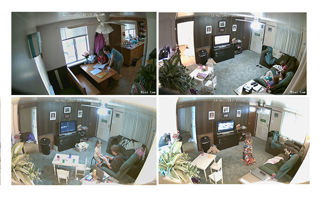 17 Security Camera Captures You Could Never Think Of Reolink Blog