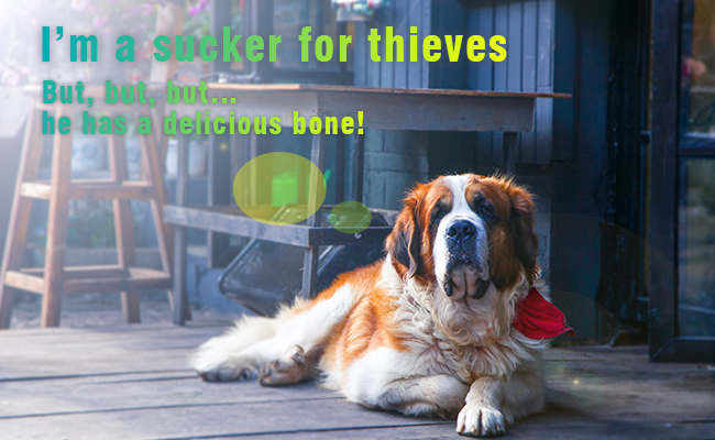 Will Dog Prevent Daytime Burglary