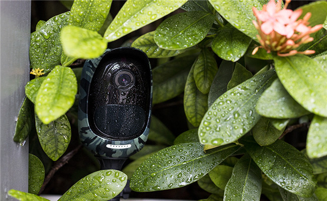 Battery-Powered Security Camera with Camouflage Skin