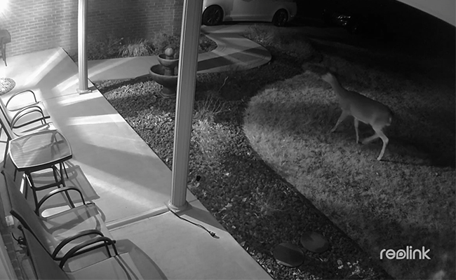 Infrared Security Camera Clear Images