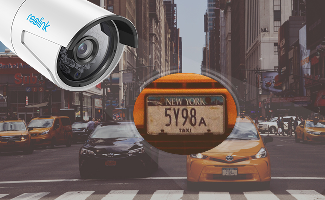 License Plate Security Cameras