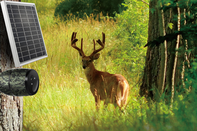 Solar Panels for Security Cameras: Top 8 Things You Can’t Miss