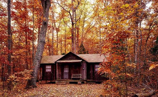 Wooden Shed