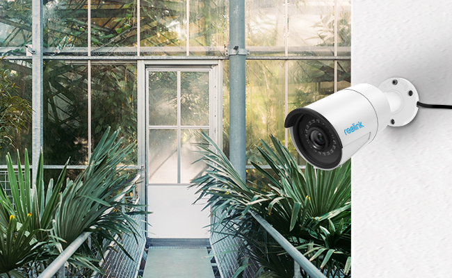 Security Camera In Grow Room