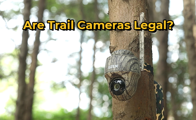 A trail camera is tied to a tree in the forest, and the text on the picture reads, Are Trail Cameras Legal?
