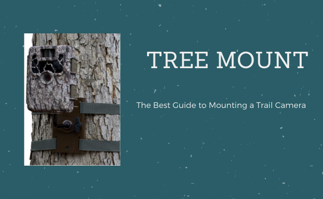 Trail Camera Tree Mount