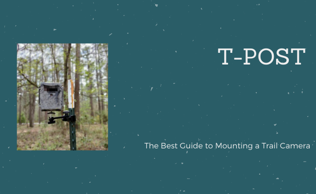 T-post trail camera mount
