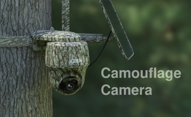 The picture depicts a trail camera mounted on a tree, designed in camouflage colors to blend seamlessly with its surroundings and avoid detection. Camera model: Reolink KEEN Ranger PT