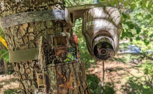 A comparison of the Reolink KEEN Ranger PT camouflage trail camera and another trail camera