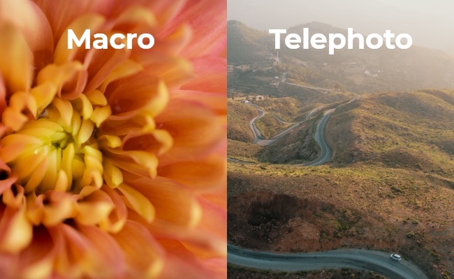 macro-vs-telephoto-lens