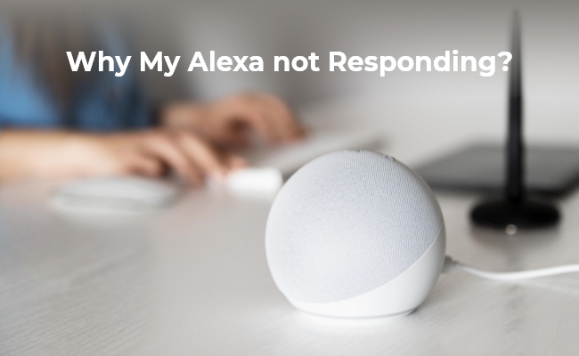 Alexa Device Is Unresponsive? How to Fix？