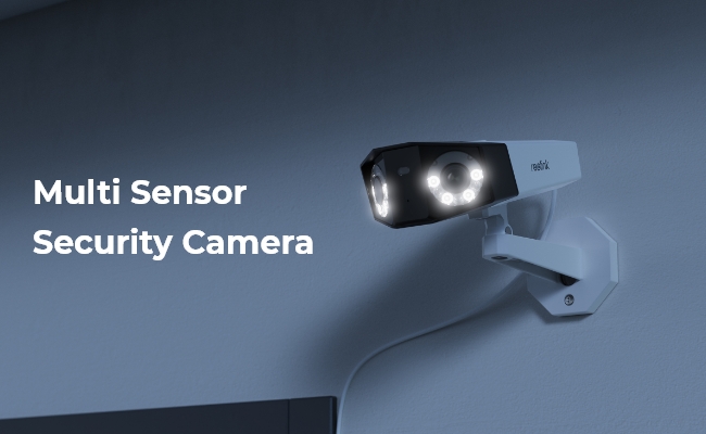 Multi-Sensor Cameras