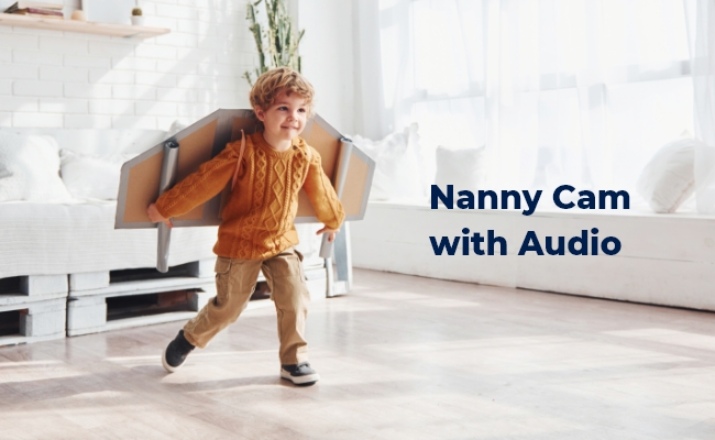 Nanny cam with audio