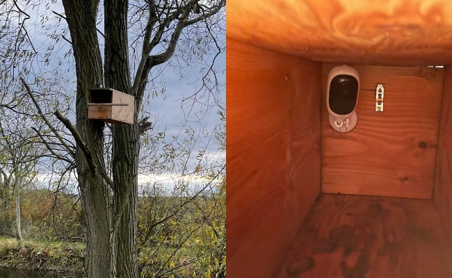Hidden Outdoor Camera