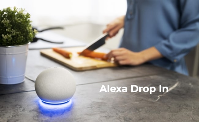 alexa drop in