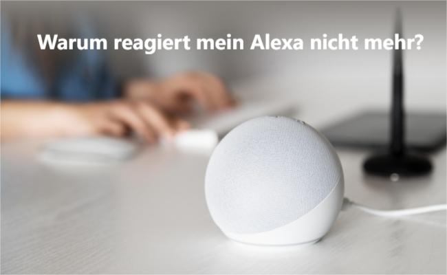 Alexa reagiert nicht