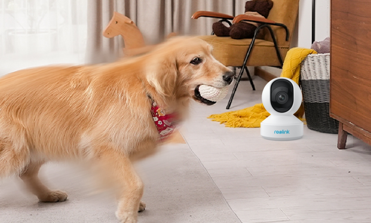 Interactive Pet Camera