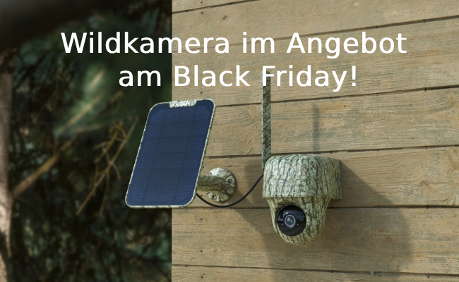 Wildkamera Angebot